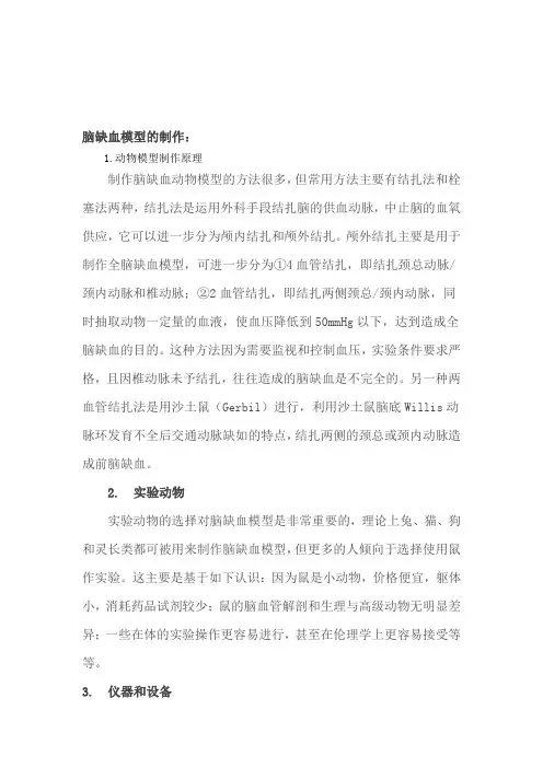 脑缺血模型的制作
