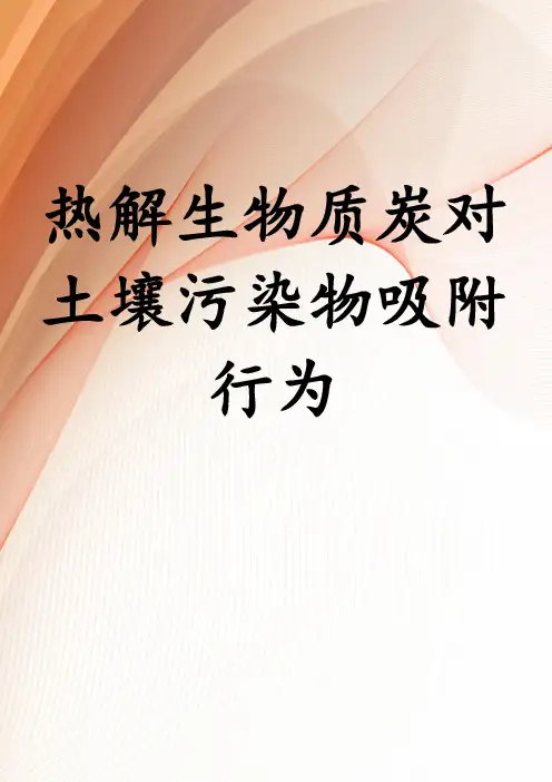 热解生物质炭对土壤污染物吸附行为