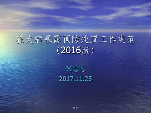 狂犬病暴露预防处置工作规范6版