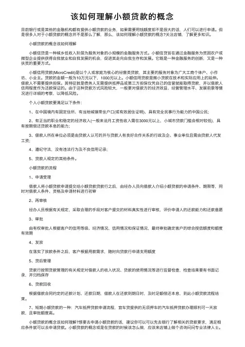 该如何理解小额贷款的概念