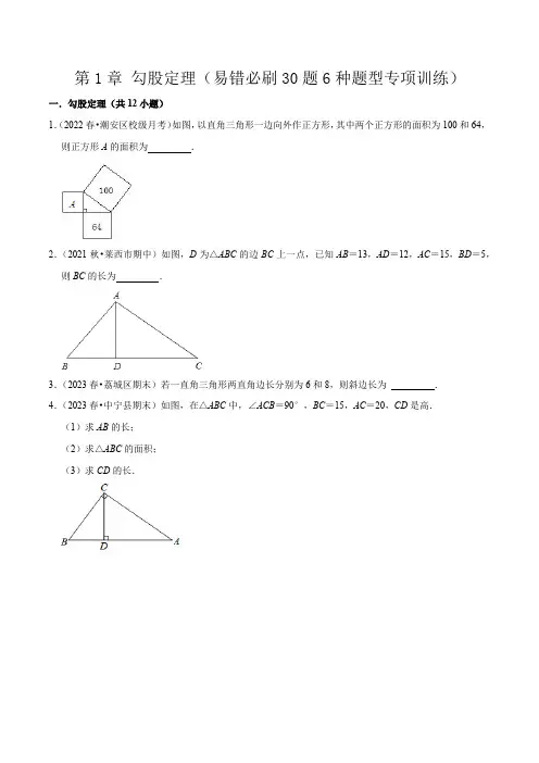 勾股定理(易错必刷30题6种题型专项训练)(原卷版)