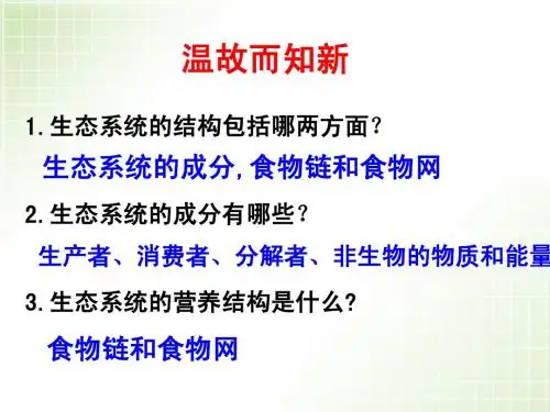 生态系统的能量流动3 (1)