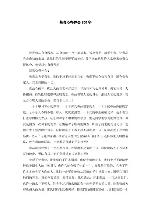 禁毒心得体会800字