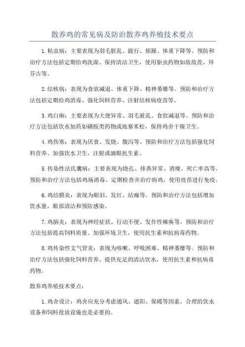 散养鸡的常见病及防治散养鸡养殖技术要点
