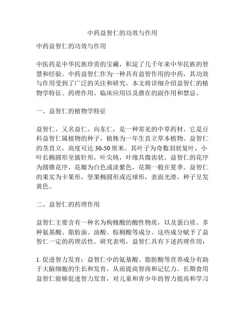 中药益智仁的功效与作用