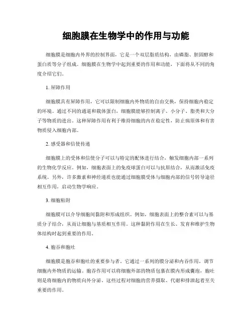 细胞膜在生物学中的作用与功能