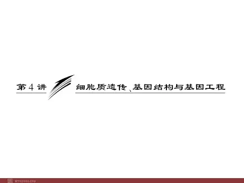 人教版高中生物课件-细胞质遗传、基因结构与基因工程