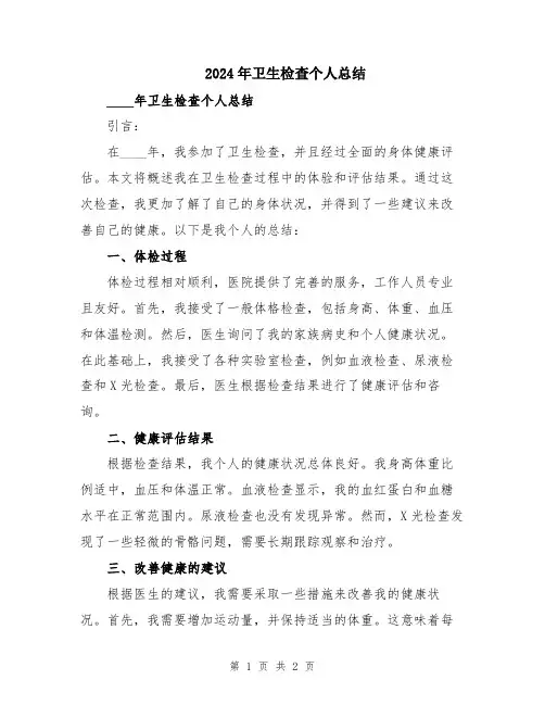 2024年卫生检查个人总结