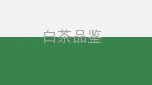 白茶简介课件