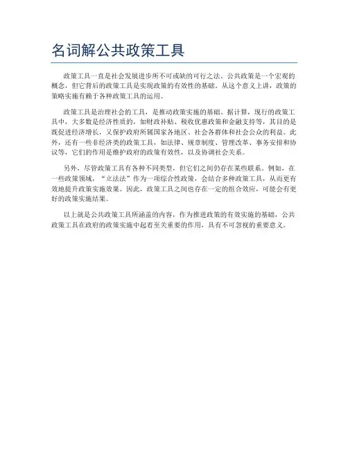 名词解公共政策工具