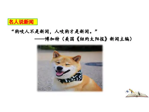 《新闻写作》
