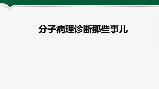 分子病理诊断流程课件PPT