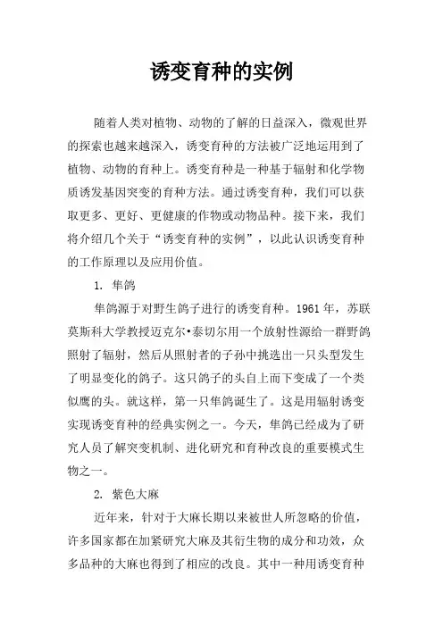 诱变育种的实例