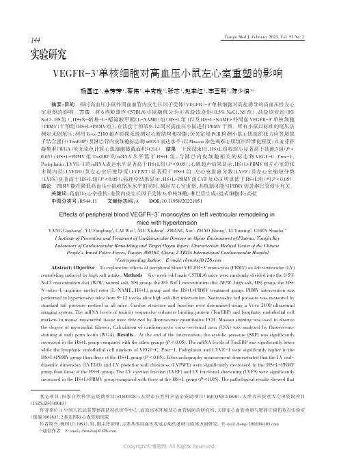 VEGFR-3+单核细胞对高血压小鼠左心室重