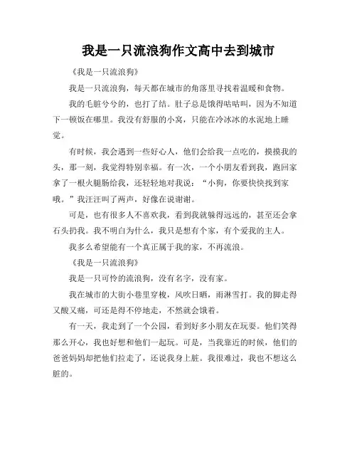 我是一只流浪狗作文高中去到城市
