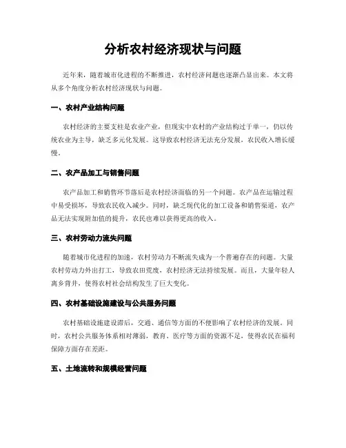 分析农村经济现状与问题