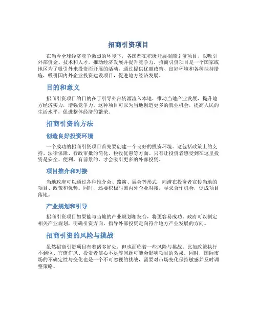 1招商引资项目
