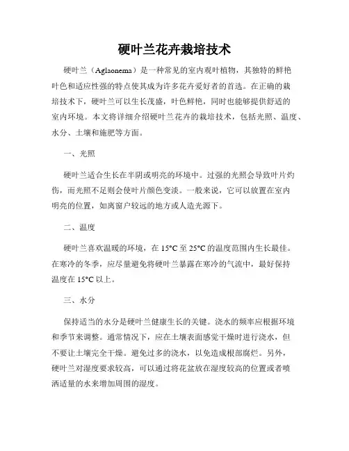 硬叶兰花卉栽培技术
