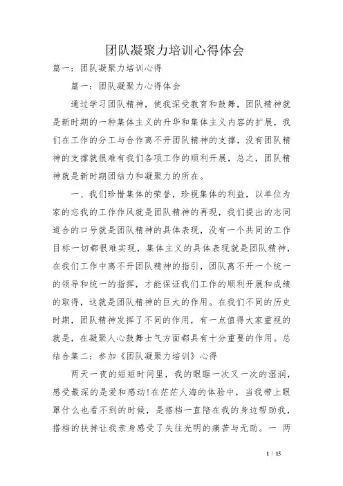 团队凝聚力培训心得体会