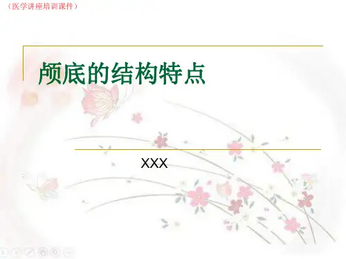 颅底的结构特点(医学讲座培训课件)