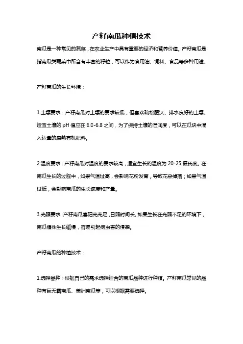 产籽南瓜种植技术