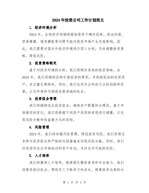 2024年投资公司工作计划范文