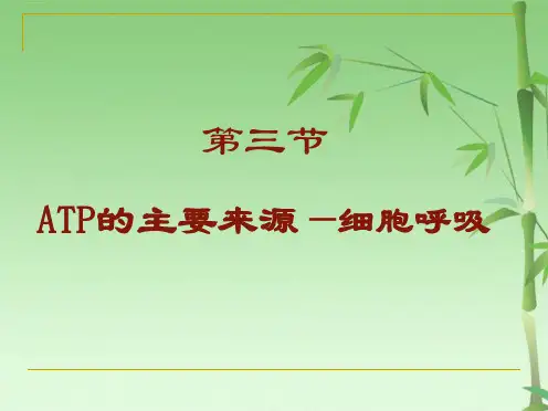 高中生物：53《ATP的主要来源-细胞呼吸》课件(共45张PPT)