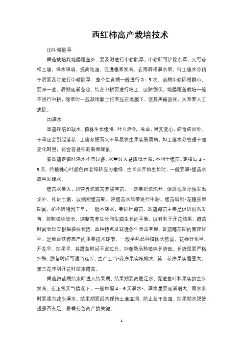 西红柿高产栽培技术