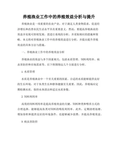养殖渔业工作中的养殖效益分析与提升