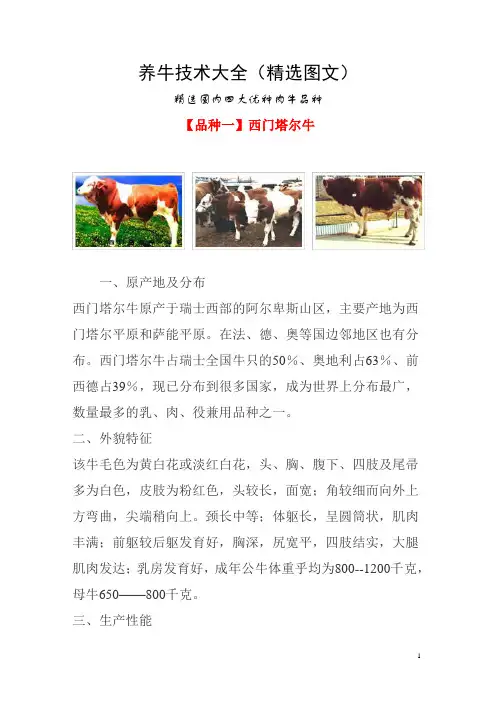 养牛知识技术大全(精选图文) 龙继豪