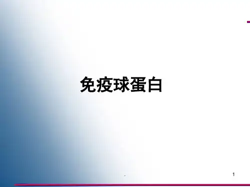 免疫球蛋白PPT幻灯片