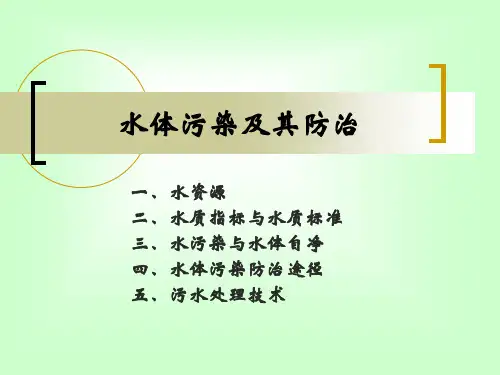 第5章 水体污染及其防治