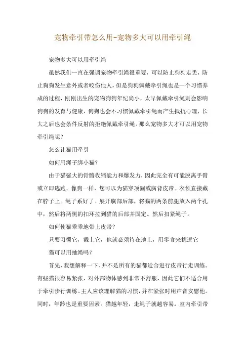宠物牵引带怎么用-宠物多大可以用牵引绳