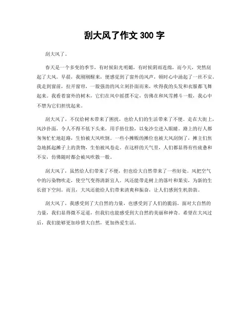 刮大风了作文300字