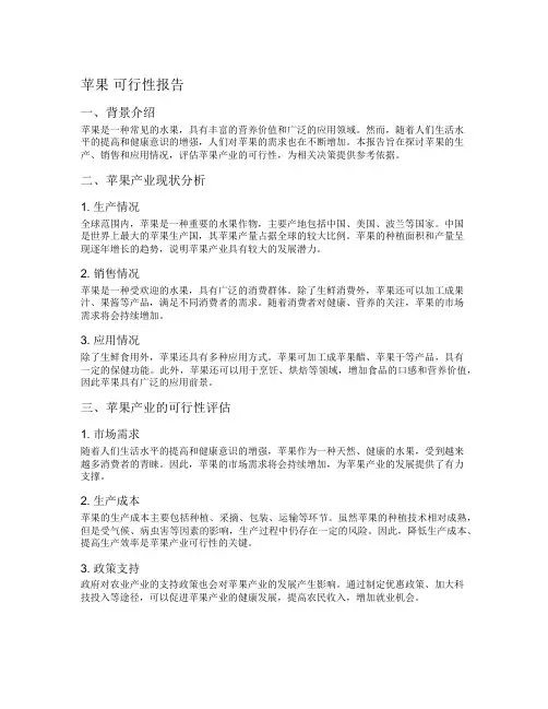 苹果 可行性报告