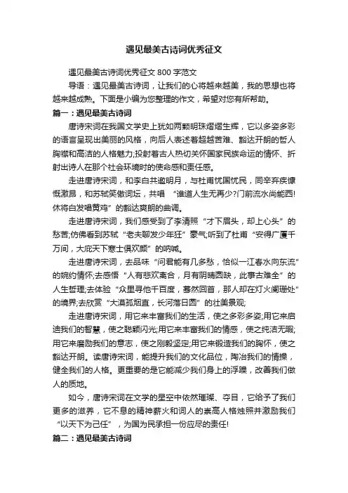 遇见最美古诗词优秀征文