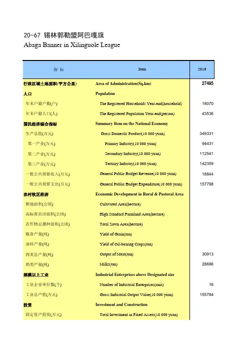 内蒙古统计年鉴2020社会经济发展指标：锡林郭勒盟阿巴嘎旗