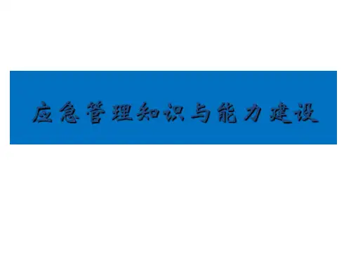 应急管理体系与能力建设