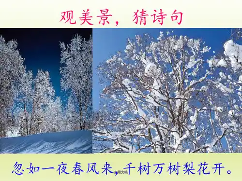 诗歌鉴赏之景物描写