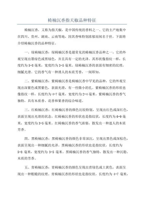 椅楠沉香指天椒品种特征