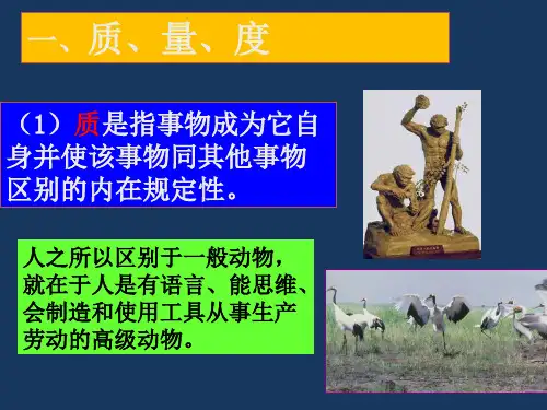 马克思主义基本原理概论2.3社会实践中的“适度”原则