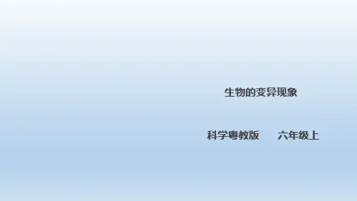 六年级上册科学课件-2.11《生物的变异现象》l 粤教版(共29张PPT)