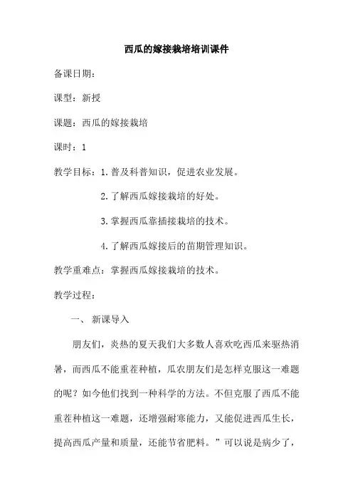 西瓜的嫁接栽培课件