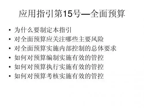 应用指引第15号——全面预算