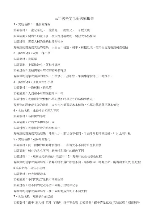 新教科版三年级科学全册实验报告