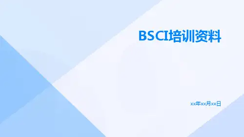 BSCI培训资料