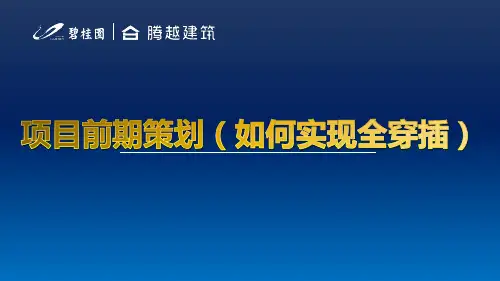 项目前期策划(如何实现全穿插)