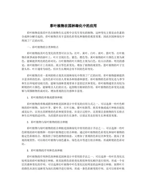 彩叶植物在园林绿化中的应用