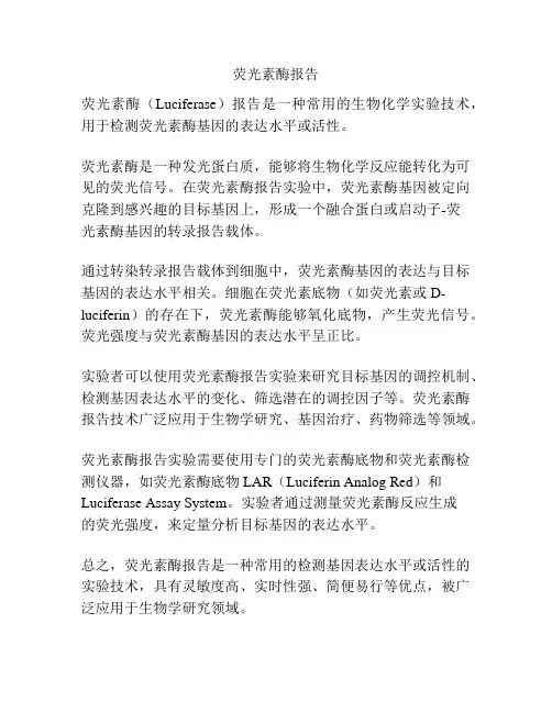 荧光素酶报告
