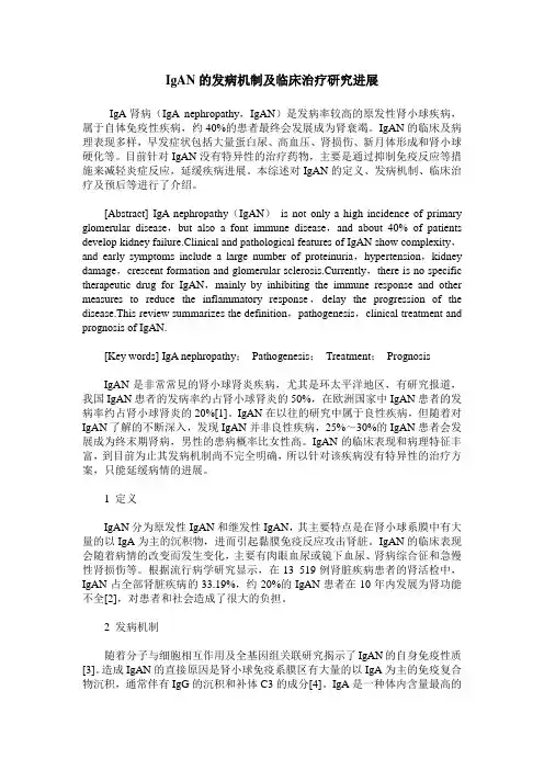 IgAN的发病机制及临床治疗研究进展
